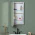 Hadley Seamless Medicine Cabinet in Silver by Cooper Classics